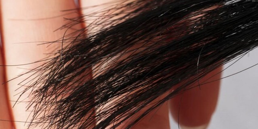 راهکار جدید برای جلوگیری از دوشاخه شدن مو